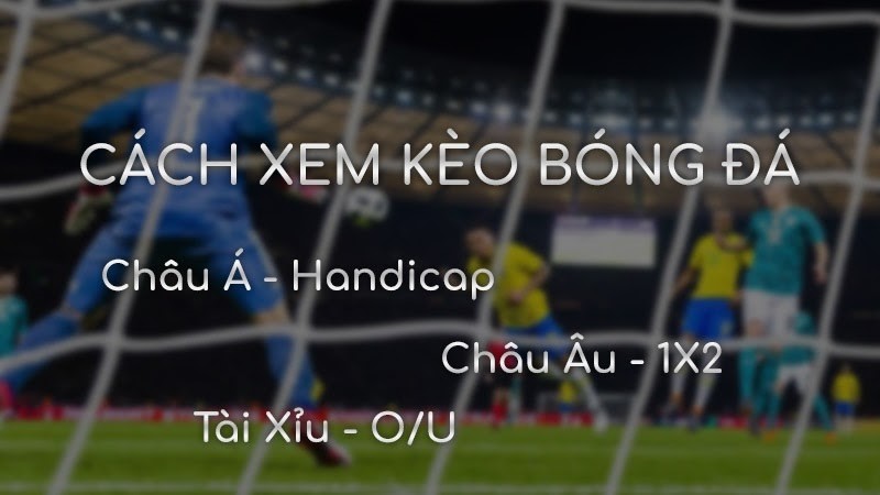 tỷ lệ kèo bóng đá là gì